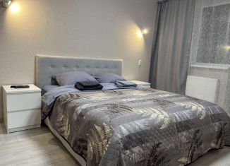 Сдам двухкомнатную квартиру, 65 м2, Самара, проспект Карла Маркса, 177В, метро Гагаринская