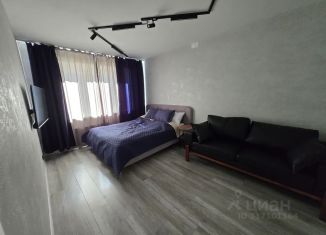 Однокомнатная квартира в аренду, 31 м2, Псков, улица Крестки, 3А
