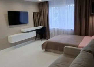 1-ком. квартира в аренду, 30 м2, Коми, проезд Строителей, 16