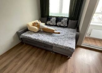 Сдаю квартиру студию, 28 м2, Московская область, улица Яганова, 3