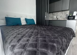 Сдам квартиру студию, 28 м2, Бугры, Тихая улица, 9к3
