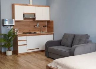 Квартира в аренду студия, 40 м2, Дагестан, улица Докучаева, 6