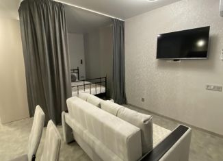 Квартира в аренду студия, 34.1 м2, Самарская область, проспект Ленина, 1