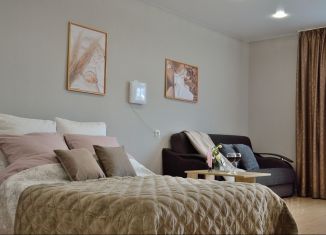Сдам в аренду квартиру студию, 33 м2, Мышкин, Мологская улица, 42А