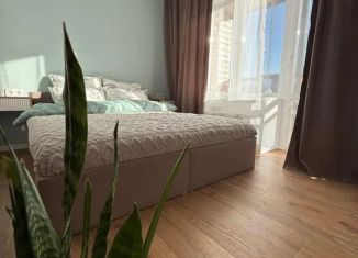 Квартира в аренду студия, 30 м2, Северодвинск, улица Карла Маркса, 66