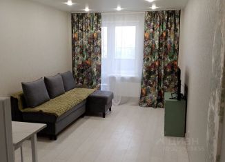 Сдам в аренду квартиру студию, 27 м2, Псков, Прибрежный проезд, 2