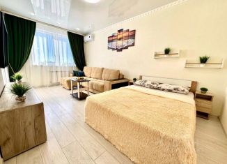 Сдам в аренду 1-комнатную квартиру, 47 м2, Самарская область, проспект Карла Маркса, 196