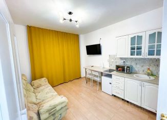 Сдача в аренду 1-ком. квартиры, 20 м2, Якутск, улица Шевченко, 5, Сайсарский округ