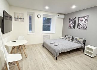 Сдам однокомнатную квартиру, 23 м2, Выборг, улица Сторожевой Башни, 9