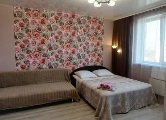 Сдается однокомнатная квартира, 44 м2, Абакан, улица Богдана Хмельницкого, 102