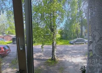 Сдается 1-комнатная квартира, 24 м2, Карелия, улица Осипенко, 4