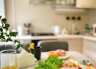 Сдаю квартиру студию, 30 м2, Самара, улица Осипенко, 14, метро Алабинская