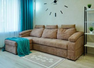 Сдается в аренду однокомнатная квартира, 25 м2, Северодвинск, улица Карла Маркса, 66