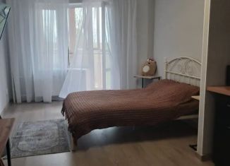 Сдаю квартиру студию, 24 м2, Никольское, Советский проспект, 138А