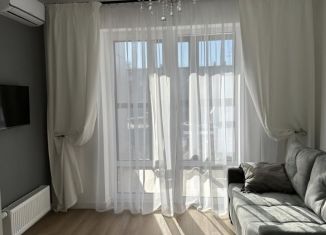1-комнатная квартира в аренду, 42 м2, Самарская область, улица Г.С. Аксакова, 7