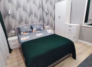 Аренда однокомнатной квартиры, 20 м2, Псков, улица Карла Маркса, 17