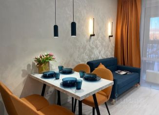 Сдается 1-ком. квартира, 30 м2, Иркутск, микрорайон Первомайский, 92