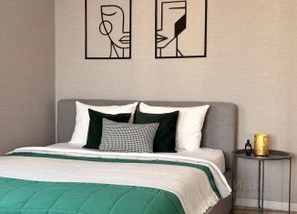 Квартира в аренду студия, 33 м2, Балашов, улица Софинского, 2