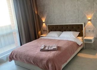 Квартира в аренду студия, 23 м2, Улан-Удэ, улица Жердева, 42Бк1