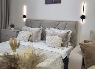 Сдаю в аренду 1-ком. квартиру, 35 м2, Абакан, улица Богдана Хмельницкого, 242к2