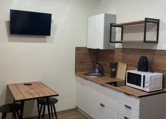Квартира в аренду студия, 30 м2, Благовещенск, улица Богдана Хмельницкого, 13