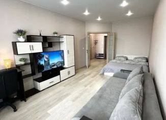 1-комнатная квартира в аренду, 47 м2, Благовещенск, улица Василенко, 14/2