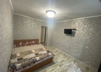 Аренда однокомнатной квартиры, 30 м2, Псков, улица Рокоссовского, 9