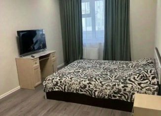 Сдаю в аренду 1-ком. квартиру, 45 м2, Якутск, 203-й микрорайон, 4, Губинский округ