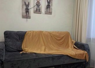 Сдается в аренду 1-ком. квартира, 30 м2, Благовещенск, улица Богдана Хмельницкого, 13