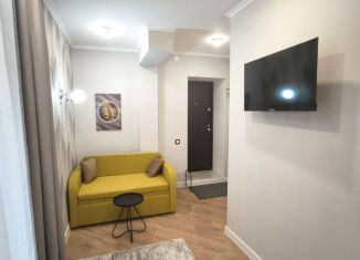 Квартира на продажу студия, 17 м2, Санкт-Петербург, Кронштадтское шоссе, 28А