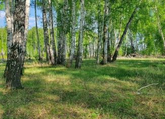 Продаю участок, 30 сот., Курганская область