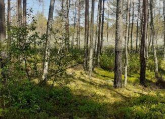 Продам земельный участок, 49 сот., Псковская область, 58К-284