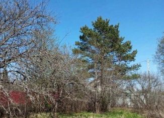 Продается дача, 30 м2, Смоленская область