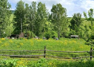 Продам участок, 21.77 сот., село Верх-Карагуж