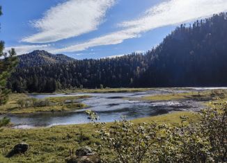 Продаю участок, 24 сот., Республика Алтай, Береговая улица