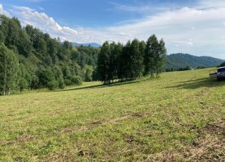 Продается участок, 160 сот., Республика Алтай