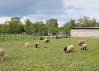 Продаю участок, 14 сот., село Гизель