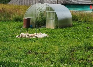 Продам участок, 24 сот., Псковская область