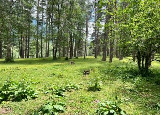 Продажа участка, 83.5 сот., село Архыз