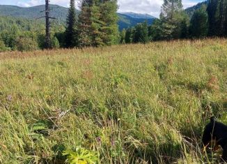 Продается участок, 100 сот., Республика Алтай