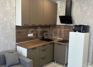 Продается квартира студия, 20.1 м2, Воронежская область, улица Богдана Хмельницкого, 53А