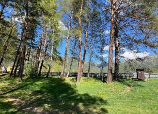 Продаю участок, 40 сот., село Чепош, улица Кучияк