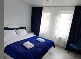 Сдача в аренду дома, 61.9 м2, Ставропольский край, СТ Шафран, 29