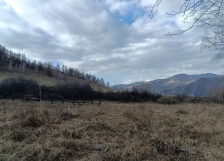 Продается участок, 1590 сот., Республика Алтай