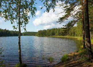 Продаю земельный участок, 15 сот., Архангельская область