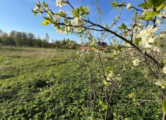 Участок на продажу, 12 сот., Порхов, улица Арнольда Мери