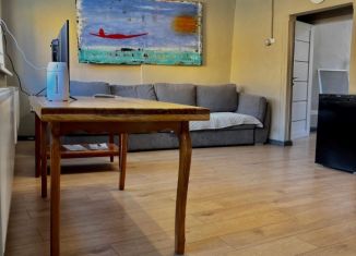 Сдаю в аренду дом, 55 м2, Северная Осетия, село Лац, 41А