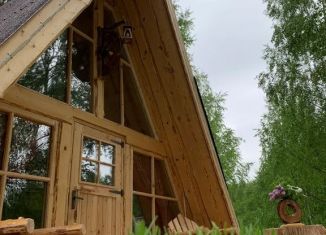 Сдается дом, 40 м2, село Рогозинино