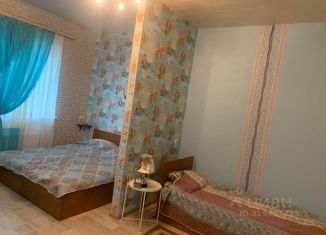Сдача в аренду дома, 45 м2, село Городковичи, Озёрная улица, 23