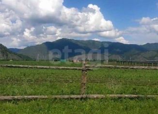 Продается земельный участок, 11.6 сот., Республика Алтай